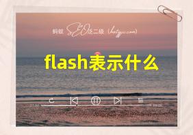 flash表示什么