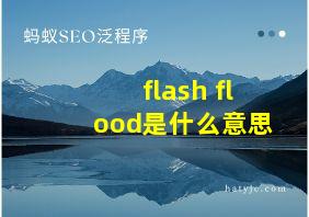 flash flood是什么意思