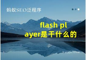 flash player是干什么的