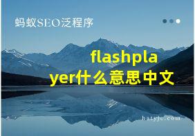 flashplayer什么意思中文