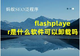 flashplayer是什么软件可以卸载吗