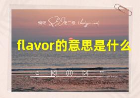 flavor的意思是什么