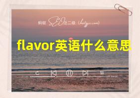 flavor英语什么意思