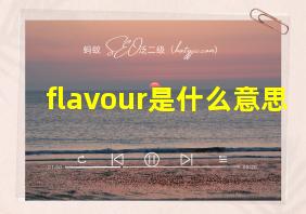 flavour是什么意思