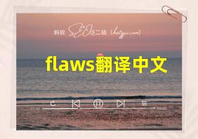 flaws翻译中文