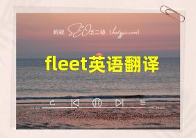 fleet英语翻译