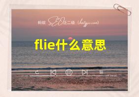 flie什么意思