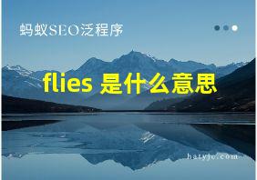 flies 是什么意思