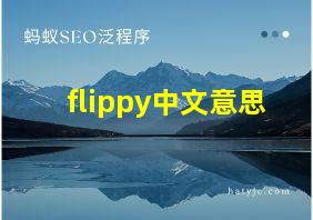 flippy中文意思