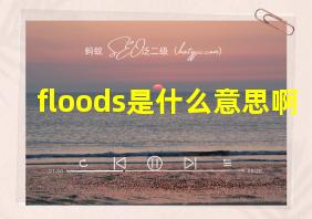 floods是什么意思啊