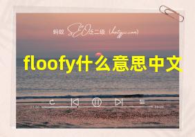 floofy什么意思中文