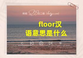 floor汉语意思是什么