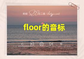 floor的音标