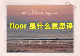 floor 是什么意思译