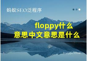 floppy什么意思中文意思是什么