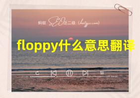 floppy什么意思翻译