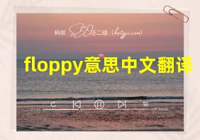 floppy意思中文翻译