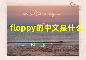 floppy的中文是什么