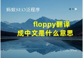 floppy翻译成中文是什么意思