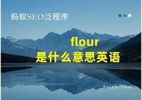 flour 是什么意思英语