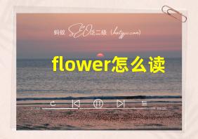 flower怎么读