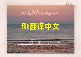 flt翻译中文