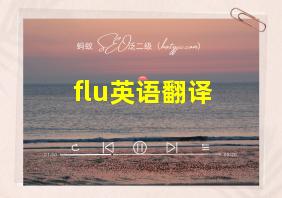 flu英语翻译