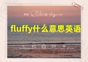 fluffy什么意思英语