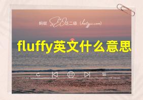 fluffy英文什么意思