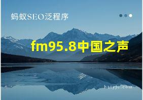 fm95.8中国之声