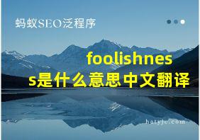 foolishness是什么意思中文翻译