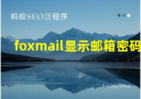 foxmail显示邮箱密码