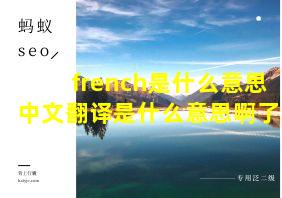 french是什么意思中文翻译是什么意思啊了