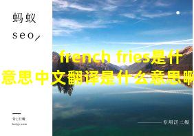 french fries是什么意思中文翻译是什么意思啊了