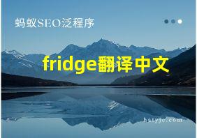 fridge翻译中文