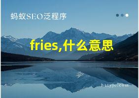 fries,什么意思