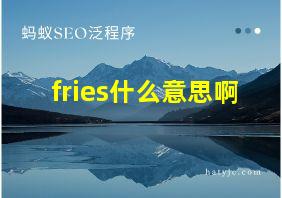 fries什么意思啊