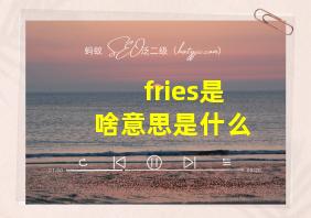 fries是啥意思是什么