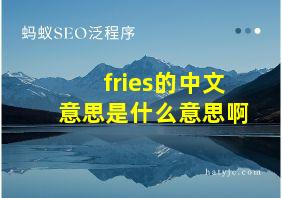 fries的中文意思是什么意思啊