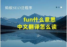 fun什么意思中文翻译怎么读