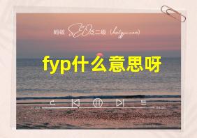 fyp什么意思呀