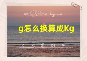 g怎么换算成Kg