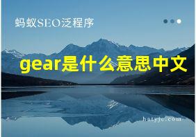 gear是什么意思中文