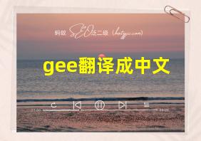 gee翻译成中文