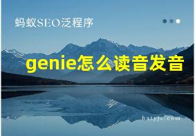 genie怎么读音发音