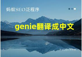 genie翻译成中文