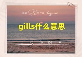 gills什么意思