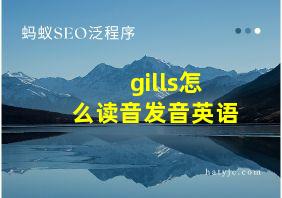 gills怎么读音发音英语