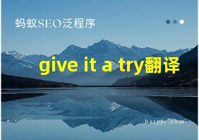 give it a try翻译