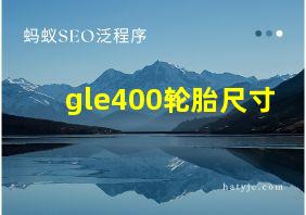 gle400轮胎尺寸